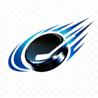 MG冰球突破·豪华版官方网站logo